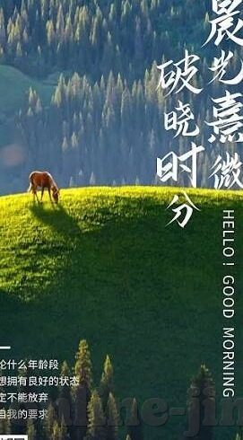 大象麻豆剧果冻传媒视频-奇妙之旅，探索大象与麻豆剧在果冻传媒下的奇妙融合