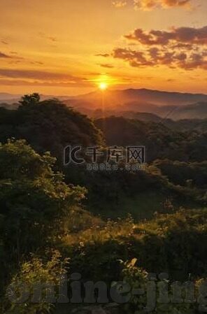 大象视频下载最新版-大象视频下载最新版，解锁高清娱乐新体验